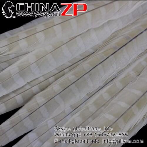 Made in CHINAZP Factory 100pcs/lot 16inch ~18inch (40-45cm) Bleached white Ringneck Pheasant Tail Feathers