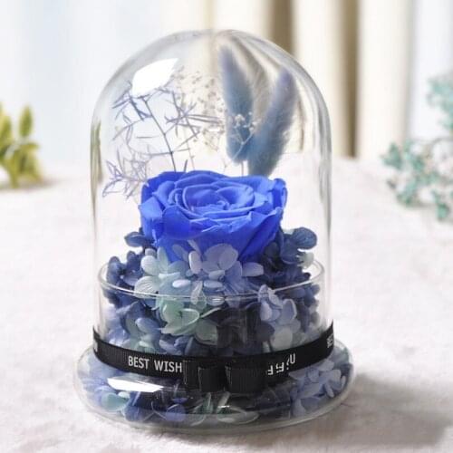 15*21cm Middle Size Fission Glass Base Dome Vase Home Decoration Transparent Split Cover Friend Gift Wedding Live Prop