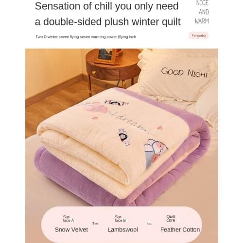 Lambswool Quilt Winter Quilt Double-Sided Velvet Quilt Thickened Warm Autumn And Winter Flannel Crystal Velvet Duvet Insert