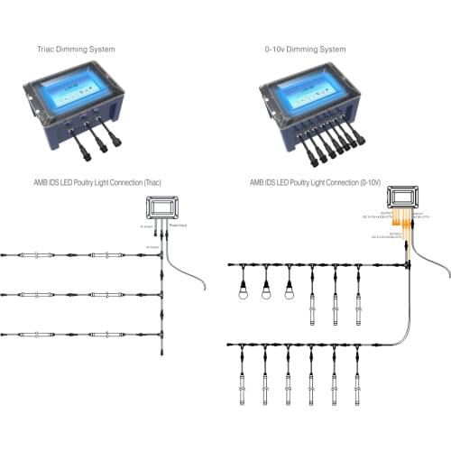 Nature Sunrise & Sunset Simulate Smart Poultry Light Dimmer System Automatic Lighting Controller
