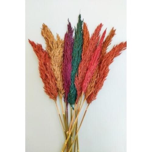 Quick-frozen 10'lu Pampas Grass Mixed Color 100cm decoration artificial flower искусственный цветок