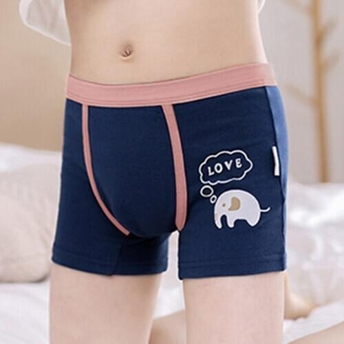 4Pcs Toddler Boys Underwear Boyshort Kids Cartoon Breathable Cotton Boxer Briefs R7RB