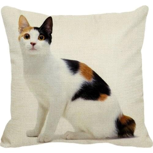 XUNYU 45cmx45m pet Japanese short-tailed cat pillowcase new cotton and linen comfortable home car decoration pillowcase YH028