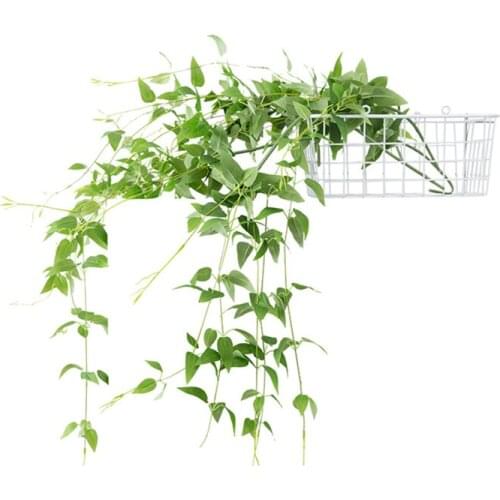 Wholesale 50 Pcs/Bulk Wall Vine Rattan Green Leaves Flower Arrangement Accessories Wedding Party Event Wall Decoration