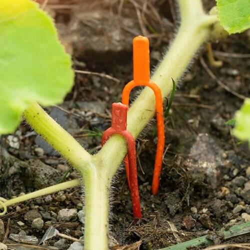 100pcs Plastic Plant Climbing Support Clips Plant Vine Holder For Flower Strawberry Seedling Tomato Garden Buildings Supplies