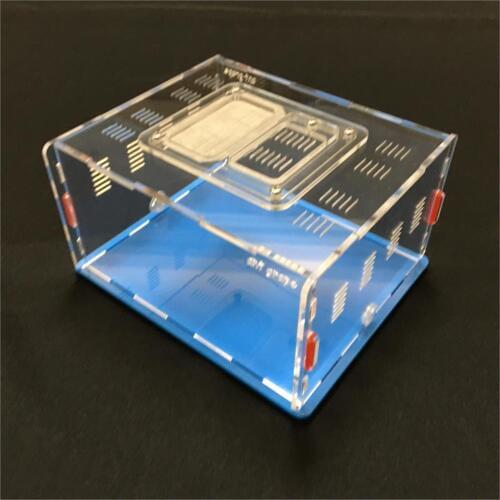 Ant-grape series L size ant nest active area ,ant farm acryl, insect nests villa new pet advanced mania for house ants