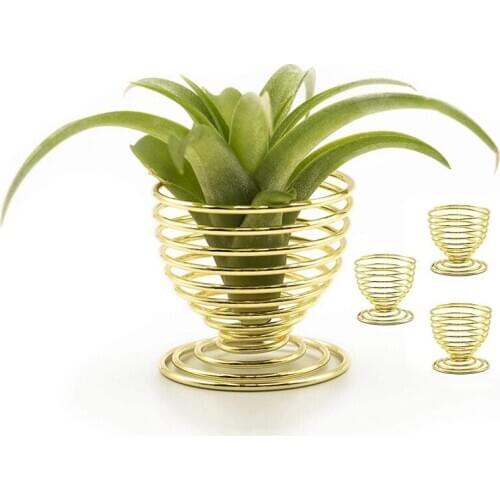 8PCS Air Plant Holder Spiral Planter for Tabletop Display Stand Set for Indoor/Home Decoration,Wedding Gift,Centerpiece