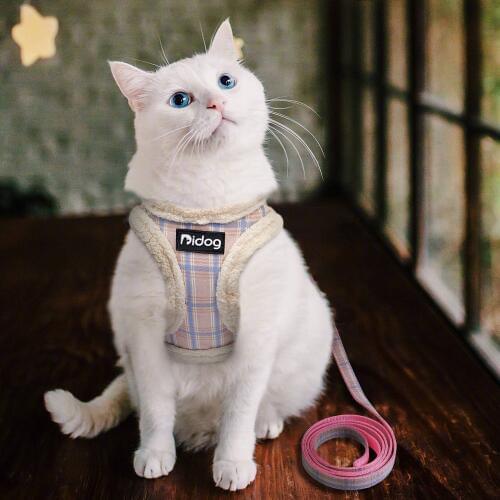 Winter Small Cat Harness Vest and Leash Set Cotton Comfortable Soft Puppy Dog Cats Harness and Leads Pet Harness for Small Dogs