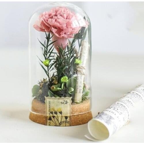 6*12cm Cork Base Cylinder Shape Glass Dome Home Decoration Diameter=6cm Diameter=12cm Glass Cover Vase Wedding Decoration