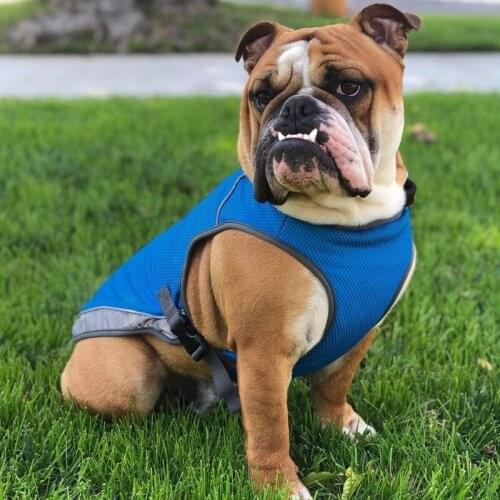 Pet Summer Cooling Clothes Outdoor Fat Dog Vest Shirt Clothes For Dogs Vest French Bulldog Clothing Dogs Cooling Costume Pug