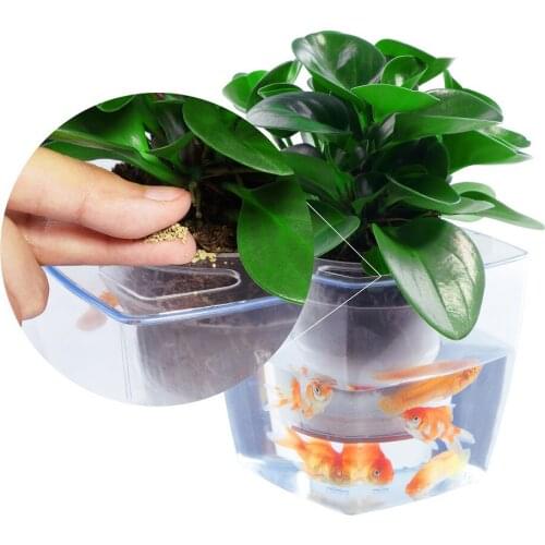 Clear Hanging Glass Vase Flower Planter Pots Fish and Flower 2in1 Flower Pot Wall Fish Tank Aquarium Container Home Decor