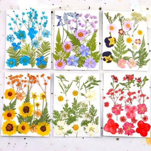 Dried Pressed Flowers Art Supplies Dried Flower Herbs Kit for Scrapbooking DIY Candle Decoration SDF-SHIP