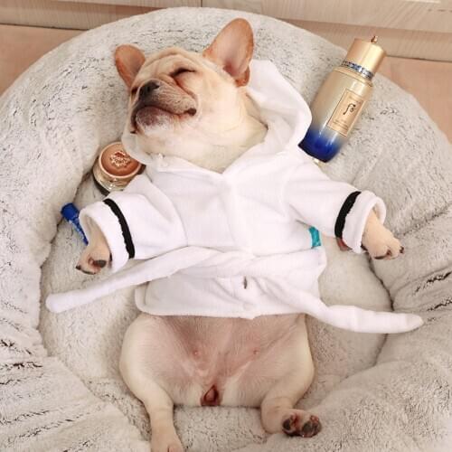 Pet Dog Bath Towel Cat Chihuahua Yorkie Clothes Poodle Pomeranian Schnauzer Pug French Bulldog Clothing Bathrobe Dropshipping