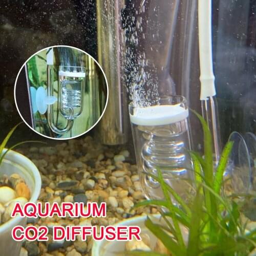 DIY Moss CO2 Atomizer For Fish Tank Live Plants Glass Tank Bubble Reactor Solenoid Regulator Aquarium CO2 Diffuser