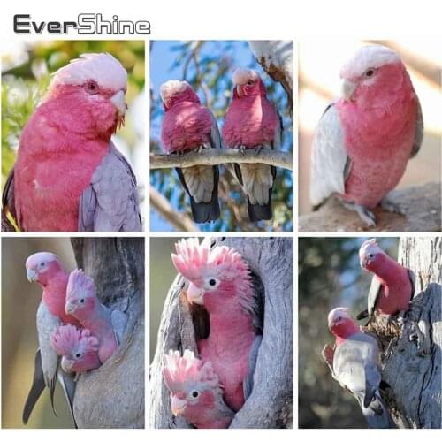 EverShine Diamond Painting Bird Full Square Round 5D DIY Diamond Mosaic Animal Cross Stitch Kits Bead Embroidery Wall Art