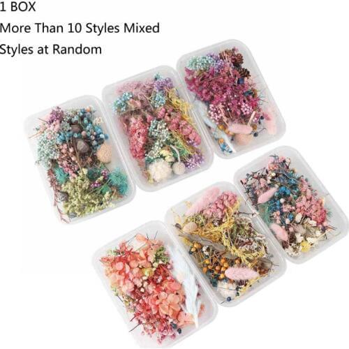 Real Pressed Flower Leaf Dried Daisy Flower Resin Flower Dry Beauty Nail Art Decals Epoxy Mold Fillings Jewelry Making