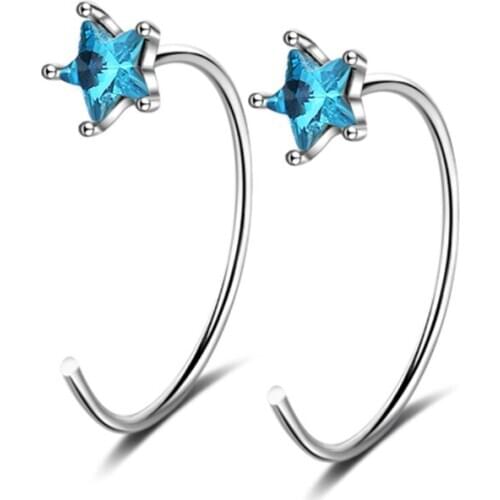 Korean popular temperament fresh and simple personality fashion trend exquisite wild silver plated earrings IR039