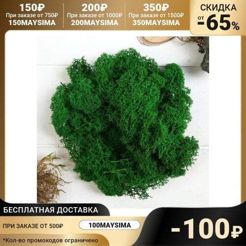 Aqua Story Artificial Compositions