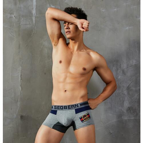 Fashion Mesh Mens Underwear Cotton Boxers Underpants Breathable Boxer Shorts Men Panties Sexy Male Underwears