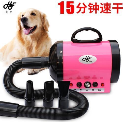 Professional Electric Pet Hairdryer Dog Hair Dryer Teddy Golden Hair High Power Mute Dog Hair Blowing Machine Pet Heater