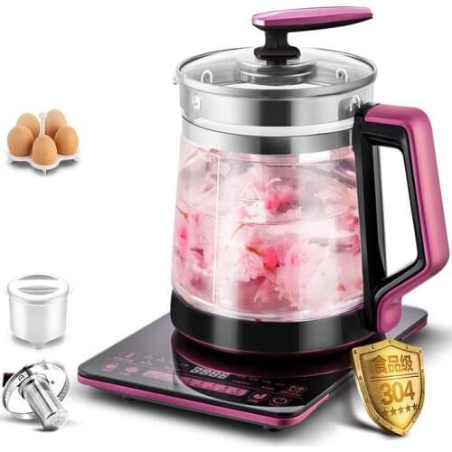 Multifunction Electric kettle with thick glass health preserving pot can make yogurt household kettle