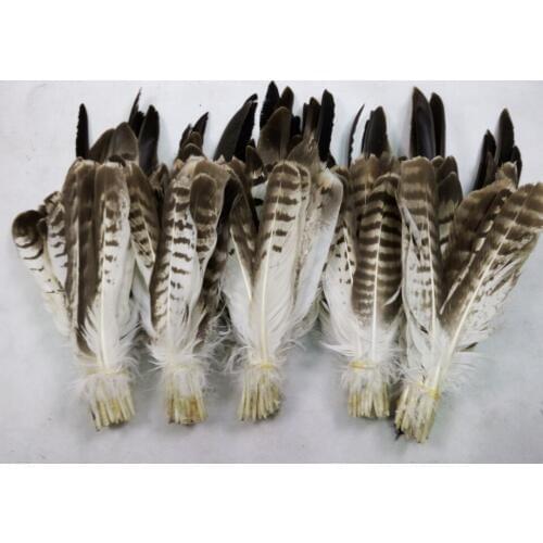 New! 50 high-quality Eagle bird feathers, 10-16 "/ 25-40 cm jewelry DIY decoration, real picture was taken