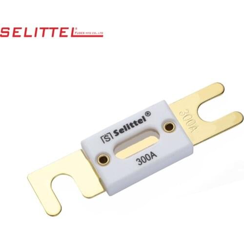 30A 40A 50A 60A 70A 80A100A 125A 150A 175A 200A 225A 250A 275A 300A 350A 400A 450A 500A 80V Fusible Link auto car Blade Fuse
