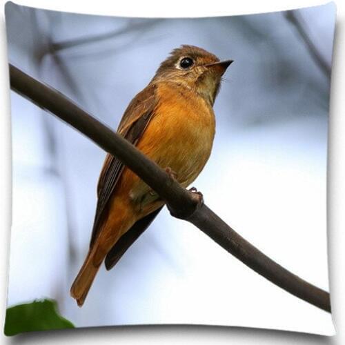 Animal series A birds Look into the distance 2D print creative Pillow case Square cotton polyester cushion cover 5 size 9 style