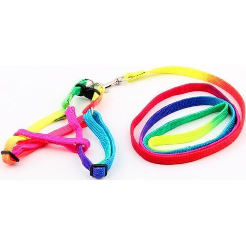 Cheap shipping 1 piece puppy doggie kitten harness leash set dog puppy harness for small pets colorful rainbow color 1.0*110cm