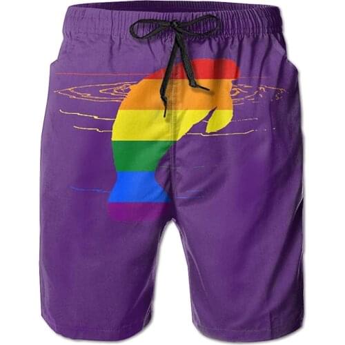 Rainbow Mana-tee Mens Shorts Swim Trunks Beach Shorts for Surfing Swimming