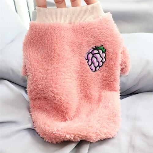 Winter Pug Dog Pet Clothing Thickened Velvet Warm Fruit Pullover Two Legged Sweater French Bulldog Clothes Clothing Poodle Corgi