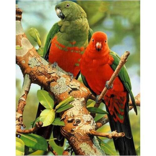 100% Full DIY 5D Diamond Painting -Tree parrot- Cross Stitch Diamond Embroidery Patterns rhinestones Diamond Mosaic bk