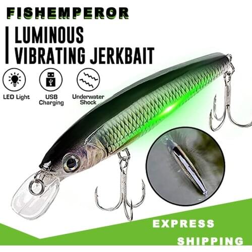 LED Mini Minnow Jerk Bait Twiching Electric Fishing Lures For Pike Wobblers Bass Swimbait Jerkbait Light Hard Recharge Trolling