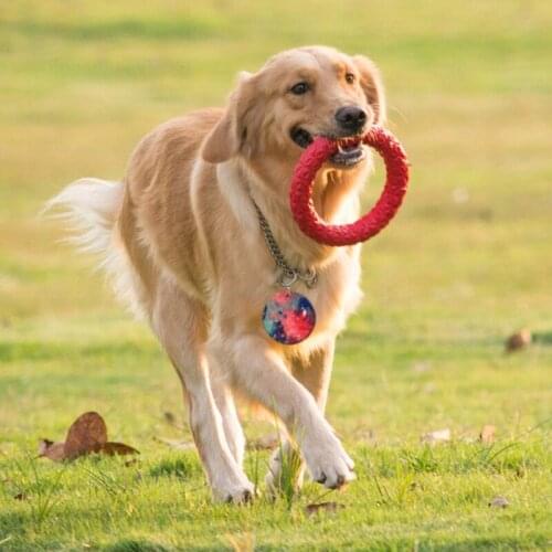 Round Pet Hanging Sign Epoxy Resin Mold Butterfly Keychain Silicone Mould DIY Crafts Jewelry Pendant Casting Tools