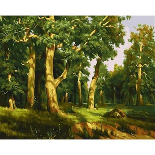 DRAWJOY Framed Picture Of Landscape DIY Painting By Numbers DIY Oil Painting On Canvas Home Decoration For Living Room