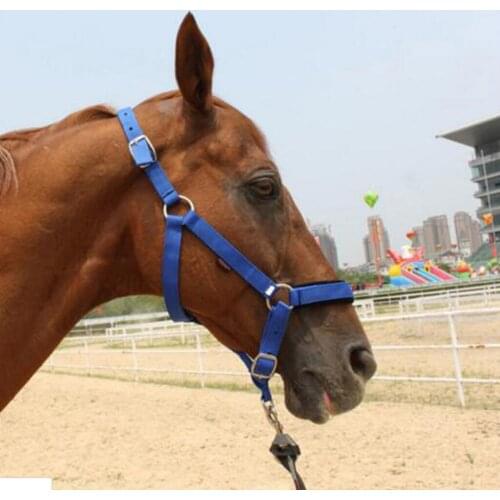 Adjustable Webbing Equestrian Horse Halter Horse Riding Wear Adjustable Horse Halter Outdoor Racing Woven Belts Bridle