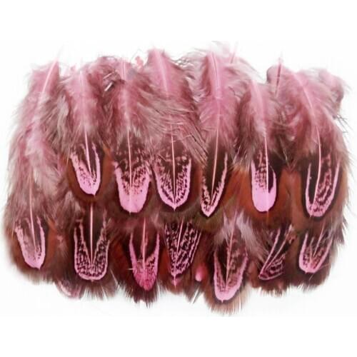 100Pcs/Lot Natural Pink Pheasant Feathers Small Plume for Crafts DIY Wedding Party Feathers Christmas for Hair Accessories 5-8cm