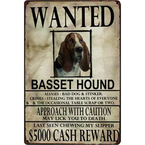 [ Kelly66] Dogs Basset Houno Wanied Metal Sign Tin Poster Home Decor Bar Wall Art Painting 20*30 CM Size y-2101
