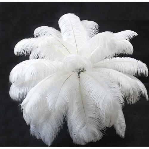 100pcs/lot Natural white Ostrich Feathers 15-75cm Colorful Feather Decoration Wedding Party Plumage Decorative feather