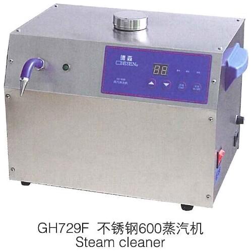 Stainless Steel Steam Cleaner for Jewelry Tool