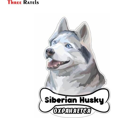 Three Ratels B550 Occlusion Scratch DIY Vinyl Material Decor Laptop School Decals And Stickers