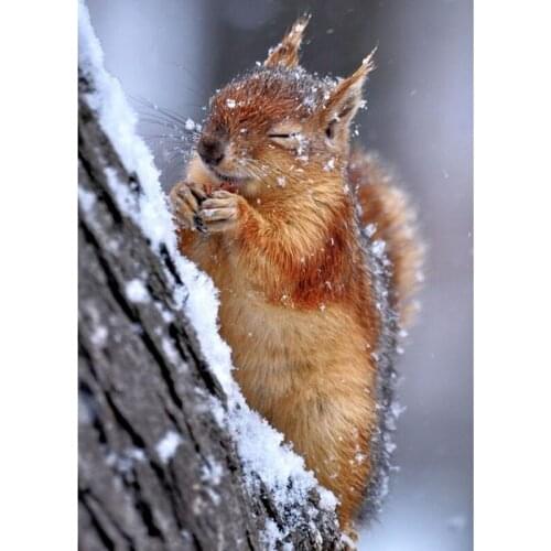 New Diamond Embroidery Snow Squirrel 5d Diamond Painting Full Square Rhinestones Picture Diamond Mosaic Beadwork