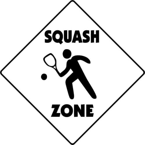 15.6CM*15.6CM Squash Crossing Sign Zone Vinyl Car Sticker Window Decals