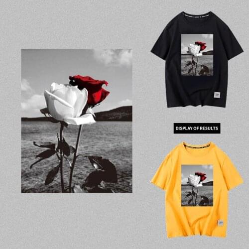 Gray tone style with thorny white rose and red rose print pattern iron heat transfer on fashionable womens T-shirt sticker
