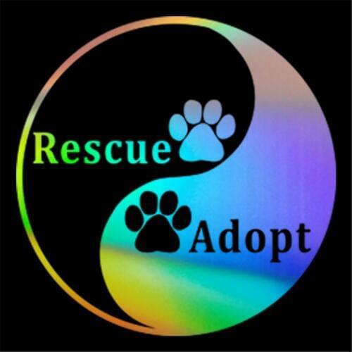 Yin And Yang Dog Paw Glass Car Sticker Vinyl Decal Window Wall Laptop Van Decor Bumper PC Truck