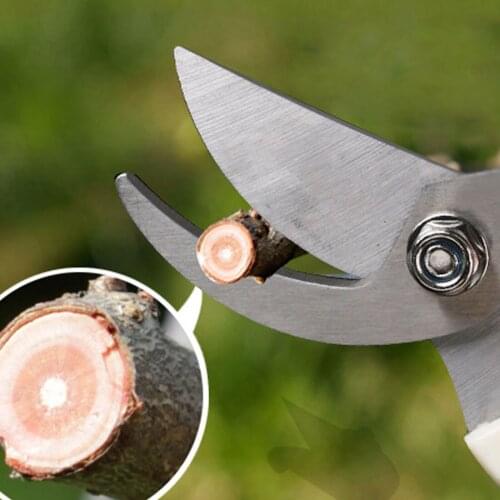 1pc 17cm Pruner Tree Cutter Gardening Pruning Shear Scissor Stainless Steel Cutting Tools Set Home Tools Anti-slip