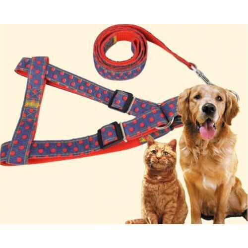 M/L/XL Cowboy Dot Chest Back Harness Leash Set for Small Large Dogs Adjustable Pet Dog Strap Rope Leads for Puppy Training Tool