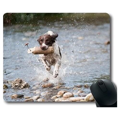 Dogs pets garden Mouse Pads ,Dog Water Run Movement Joy,dogs mouse mat