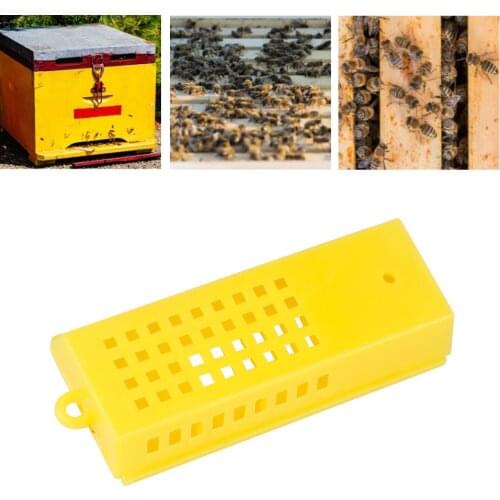 Bee Queen CagesGoods Tools For Beekeeper Supplies