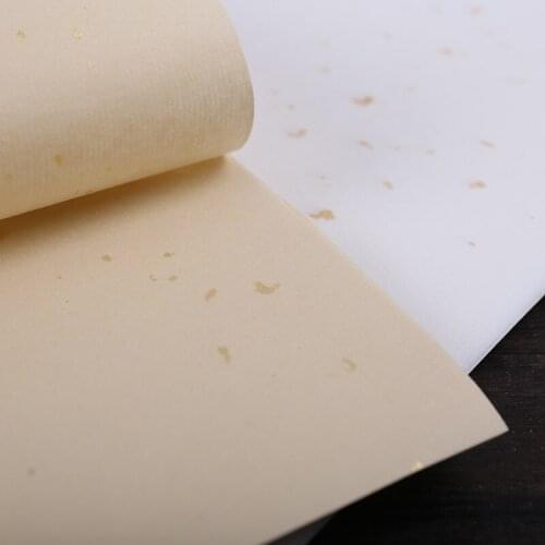 Chinese Calligraphy Papers Brushes Writing Half-Ripe Xuan Paper Chinese Painting Rice Paper with Golden Spotted 50 Sheets
